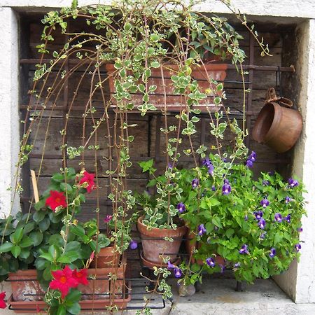 B&B Corte Barbieri Dolcè Εξωτερικό φωτογραφία