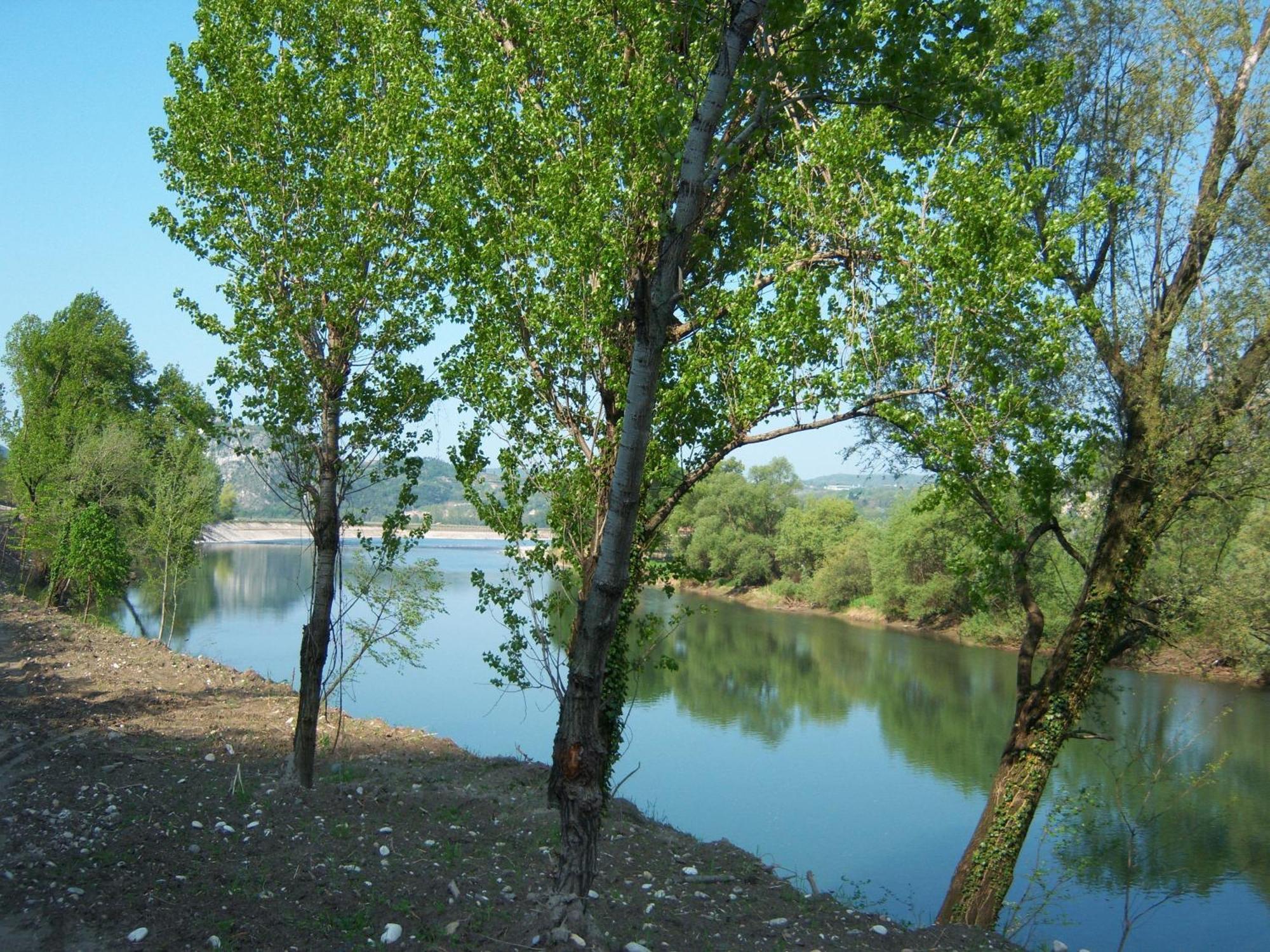 B&B Corte Barbieri Dolcè Εξωτερικό φωτογραφία